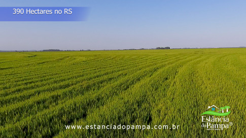 Renato Borghetti   Kilómetro Once (Transito Cocomarola)   Instrumental Sesc Brasil [VDownloader].00_00_42_11.Quadro018_c2888d747ac122fe04524f74ee957eabe61d0431.jpg